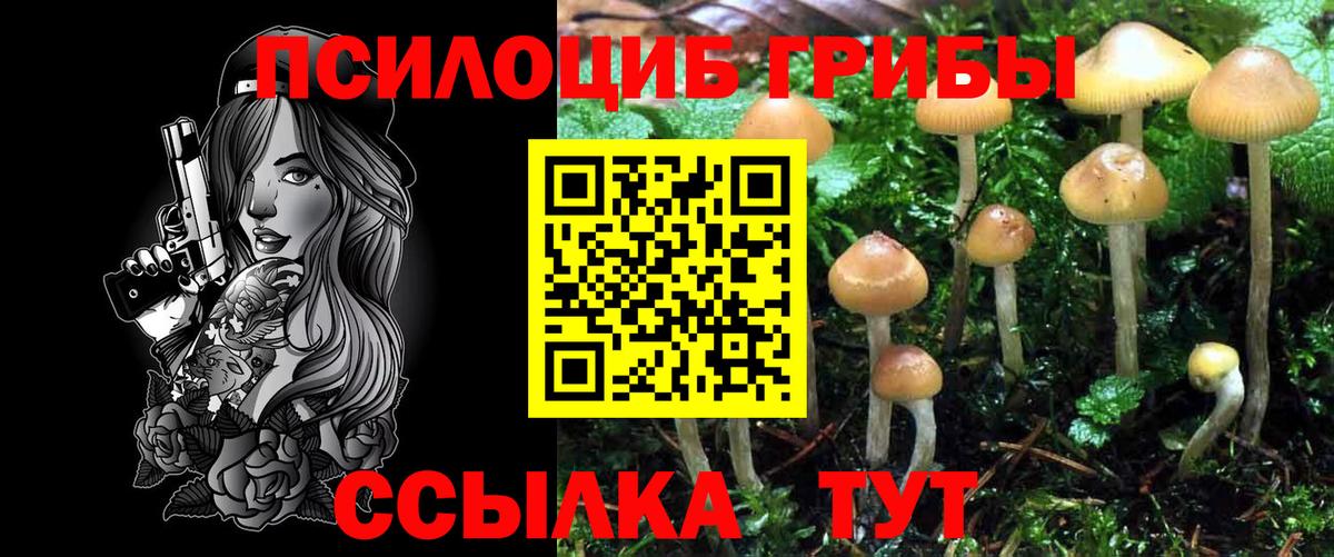 Псилоцибиновые грибы Cubensis  Вход с VPN  Новотроицк  Псилоцибиновые грибы Cubensis 